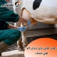 درمان گاو های خشک